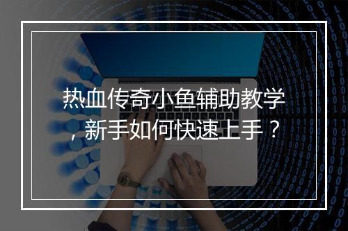 热血传奇小鱼辅助教学，新手如何快速上手？