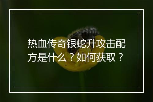热血传奇银蛇升攻击配方是什么？如何获取？