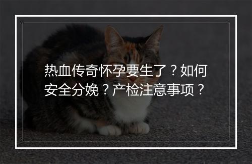 热血传奇怀孕要生了？如何安全分娩？产检注意事项？