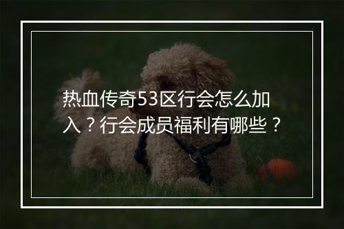 热血传奇53区行会怎么加入？行会成员福利有哪些？