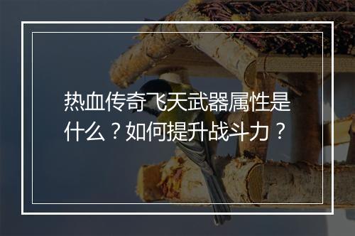 热血传奇飞天武器属性是什么？如何提升战斗力？