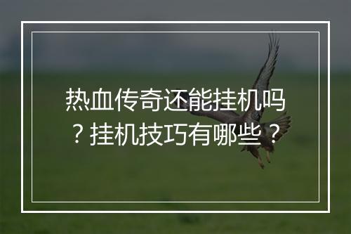 热血传奇还能挂机吗？挂机技巧有哪些？
