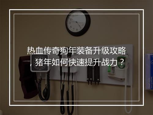 热血传奇狗年装备升级攻略,猪年如何快速提升战力?