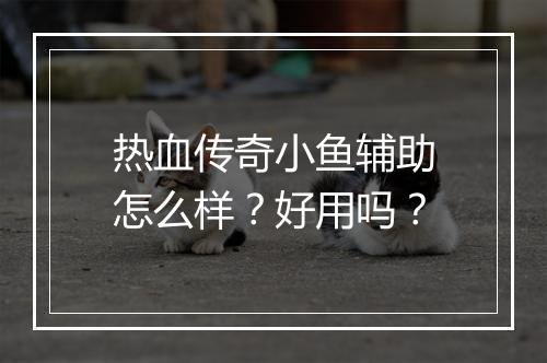 热血传奇小鱼辅助怎么样？好用吗？