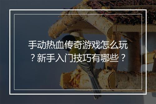 手动热血传奇游戏怎么玩？新手入门技巧有哪些？