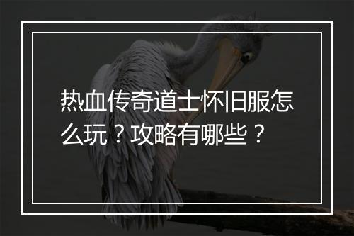 热血传奇道士怀旧服怎么玩？攻略有哪些？