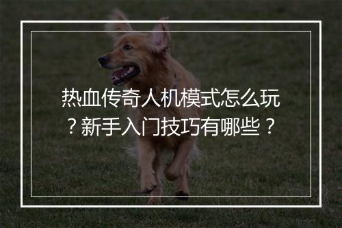 热血传奇人机模式怎么玩？新手入门技巧有哪些？