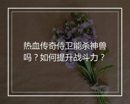 热血传奇侍卫能杀神兽吗？如何提升战斗力？