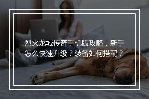 烈火龙城传奇手机版攻略，新手怎么快速升级？装备如何搭配？