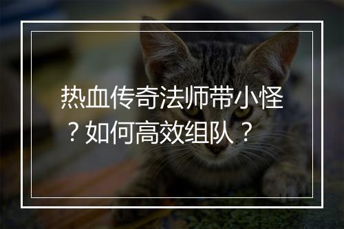 热血传奇法师带小怪？如何高效组队？