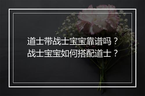 道士带战士宝宝靠谱吗？战士宝宝如何搭配道士？