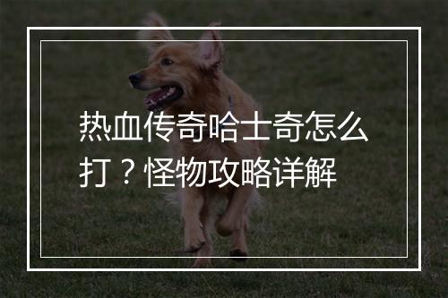 热血传奇哈士奇怎么打？怪物攻略详解