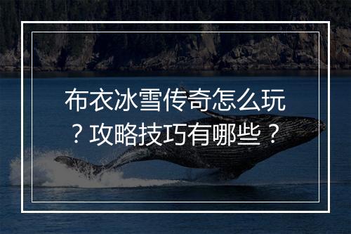 布衣冰雪传奇怎么玩？攻略技巧有哪些？