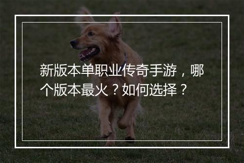 新版本单职业传奇手游，哪个版本最火？如何选择？