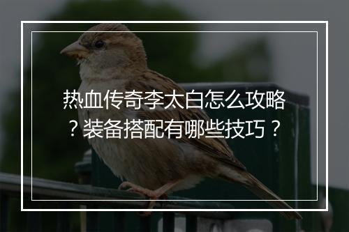 热血传奇李太白怎么攻略？装备搭配有哪些技巧？