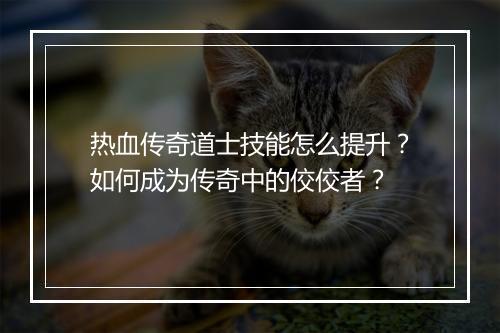 热血传奇道士技能怎么提升？如何成为传奇中的佼佼者？