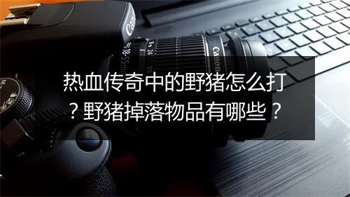 热血传奇中的野猪怎么打？野猪掉落物品有哪些？