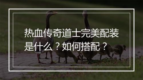 热血传奇道士完美配装是什么？如何搭配？