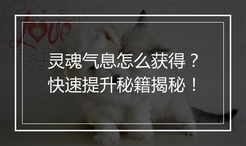 灵魂气息怎么获得？快速提升秘籍揭秘！