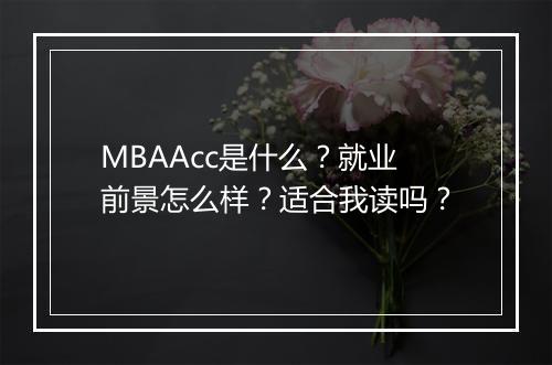 MBAAcc是什么？就业前景怎么样？适合我读吗？