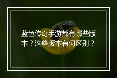 蓝色传奇手游都有哪些版本？这些版本有何区别？