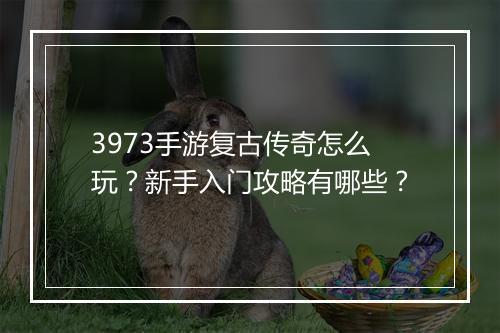 3973手游复古传奇怎么玩？新手入门攻略有哪些？