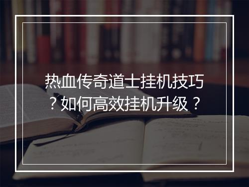 热血传奇道士挂机技巧？如何高效挂机升级？