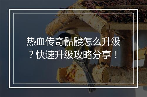 热血传奇骷髅怎么升级？快速升级攻略分享！