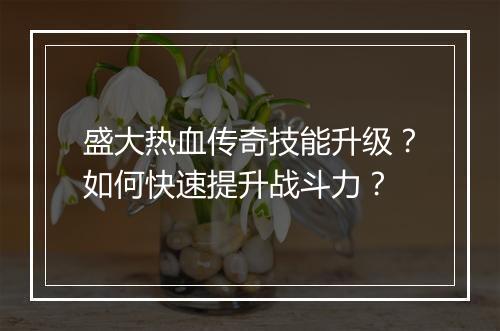 盛大热血传奇技能升级？如何快速提升战斗力？