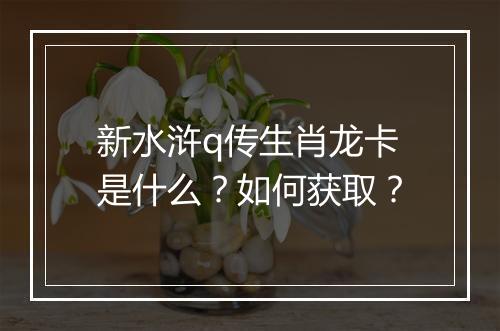 新水浒q传生肖龙卡是什么？如何获取？