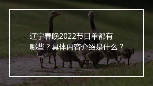辽宁春晚2022节目单都有哪些？具体内容介绍是什么？