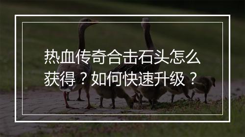 热血传奇合击石头怎么获得？如何快速升级？