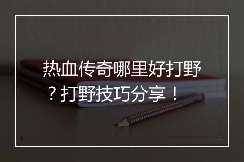 热血传奇哪里好打野？打野技巧分享！