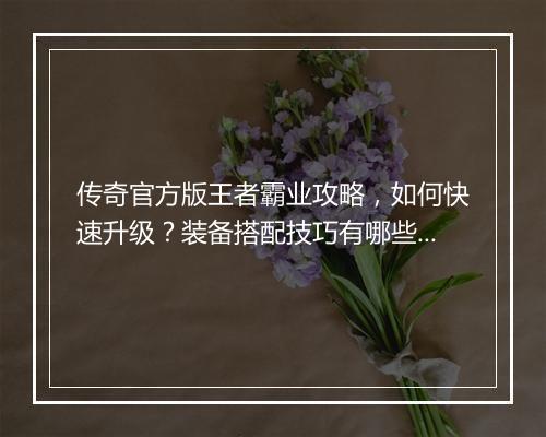 传奇官方版王者霸业攻略，如何快速升级？装备搭配技巧有哪些？