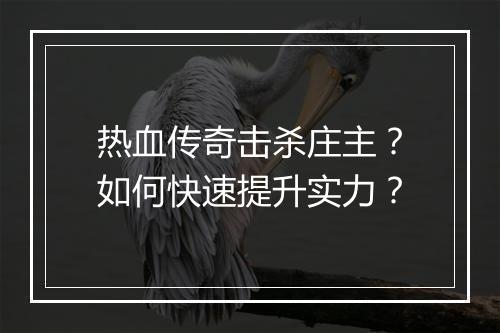 热血传奇击杀庄主？如何快速提升实力？