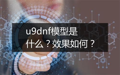 u9dnf模型是什么？效果如何？