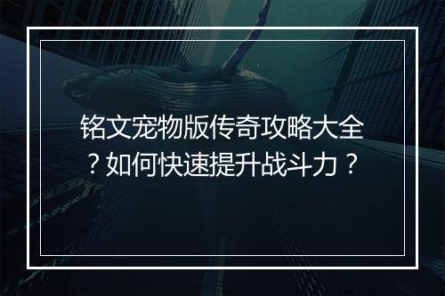 铭文宠物版传奇攻略大全？如何快速提升战斗力？