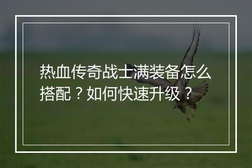 热血传奇战士满装备怎么搭配？如何快速升级？