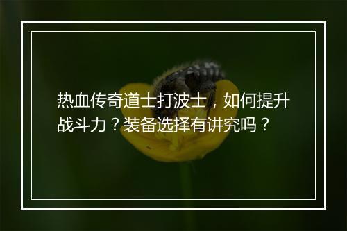 热血传奇道士打波士，如何提升战斗力？装备选择有讲究吗？