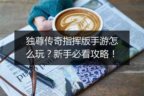 独尊传奇指挥版手游怎么玩？新手必看攻略！