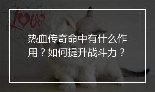 热血传奇命中有什么作用？如何提升战斗力？