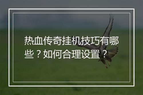热血传奇挂机技巧有哪些？如何合理设置？