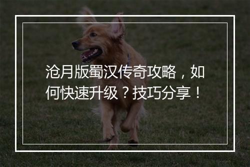 沧月版蜀汉传奇攻略，如何快速升级？技巧分享！