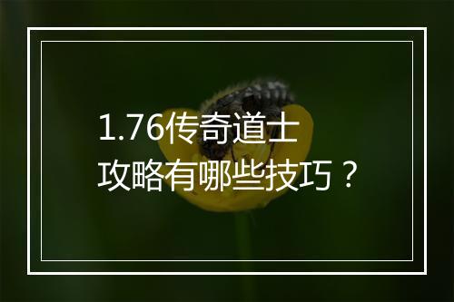 1.76传奇道士攻略有哪些技巧？