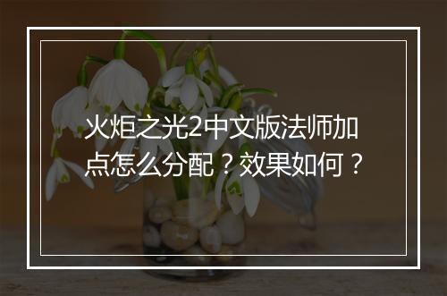 火炬之光2中文版法师加点怎么分配？效果如何？