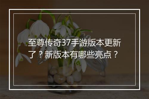 至尊传奇37手游版本更新了？新版本有哪些亮点？