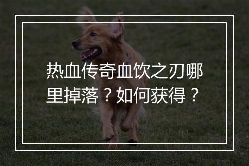 热血传奇血饮之刃哪里掉落？如何获得？