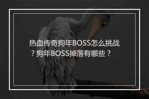 热血传奇狗年BOSS怎么挑战？狗年BOSS掉落有哪些？