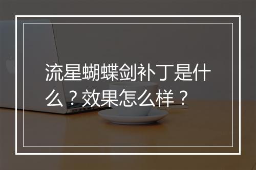 流星蝴蝶剑补丁是什么？效果怎么样？