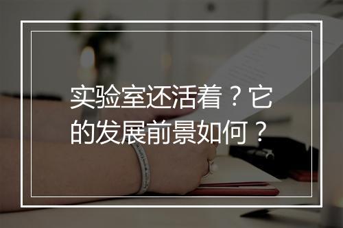 实验室还活着？它的发展前景如何？